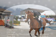 ref. photo 3139035