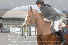 ref. photo 3139036