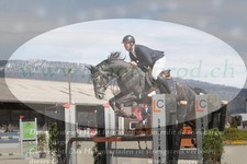 ref. photo 3139045