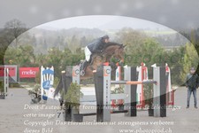 ref. photo 3139048