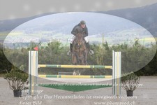 ref. photo 3139072