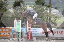 ref. photo 3139075