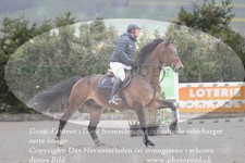 ref. photo 3139076