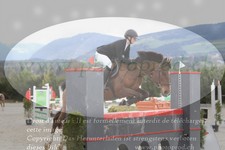 ref. photo 3139082