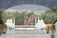 ref. photo 3139096