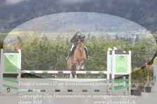 ref. photo 3139098