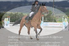 ref. photo 3139099