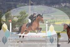 ref. photo 3139102