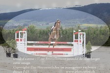 ref. photo 3139111