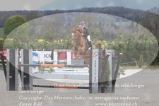 ref. photo 3139114