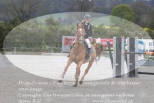 ref. photo 3139115