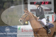 ref. photo 3139118