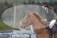 ref. photo 3139119