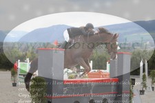 ref. photo 3139122