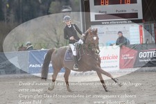 ref. photo 3139124