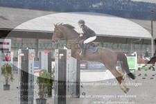 ref. photo 3139129