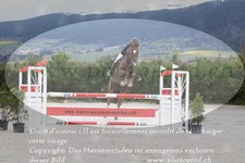 ref. photo 3139130
