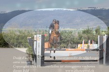 ref. photo 3139132