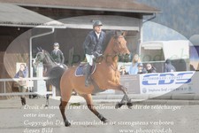 ref. photo 3139136