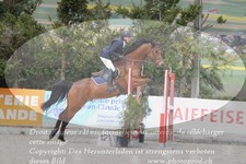 ref. photo 3139137