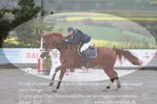 ref. photo 3139149