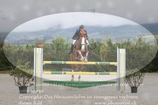 ref. photo 3139150