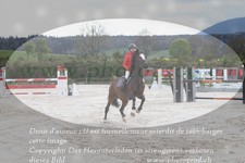 ref. photo 3139153
