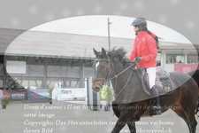 ref. photo 3139165