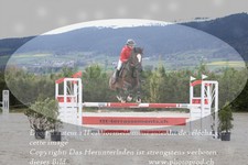 ref. photo 3139170