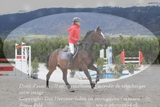 ref. photo 3139171