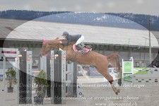 ref. photo 3139205