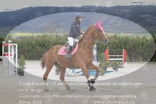 ref. photo 3139207