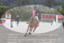 ref. photo 3139213