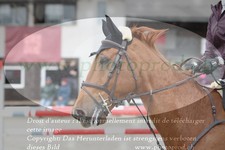ref. photo 3139254