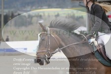 ref. photo 3139275