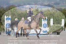 ref. photo 3139281
