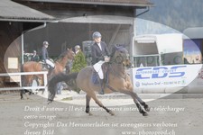 ref. photo 3139283
