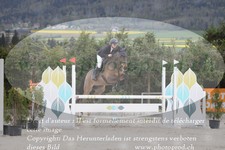 ref. photo 3139286