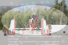ref. photo 3139299