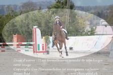 ref. photo 3139300
