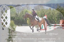 ref. photo 3139309