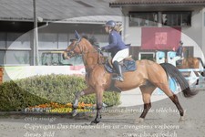 ref. photo 3139319
