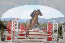 ref. photo 3139321
