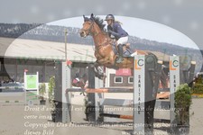 ref. photo 3139322