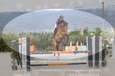 ref. photo 3139339