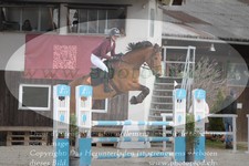 ref. photo 3139343