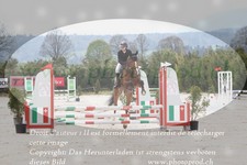 ref. photo 3139347