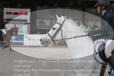 ref. photo 3139356
