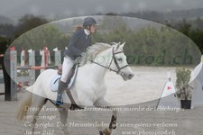 ref. photo 3139358
