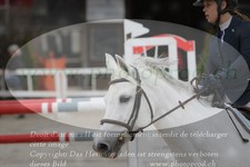 ref. photo 3139361